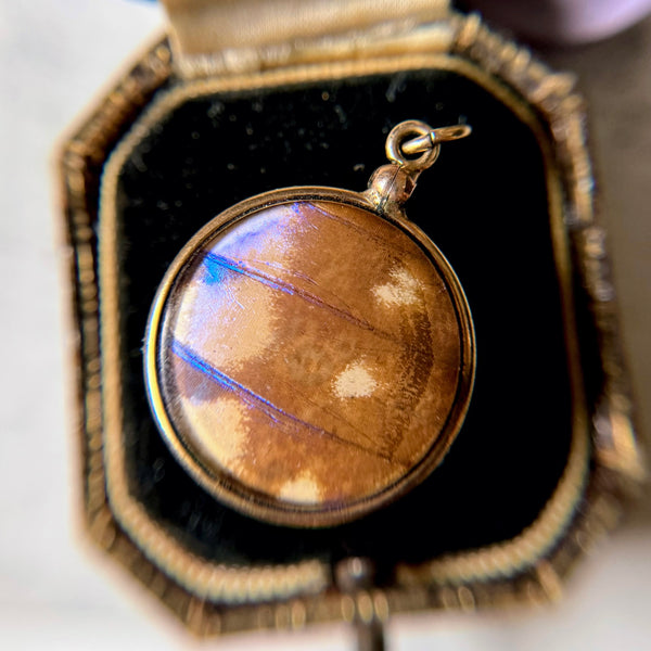 Antique Gold Filled Double Sided Pendant w/ Encased Moth + Butterfly Wings