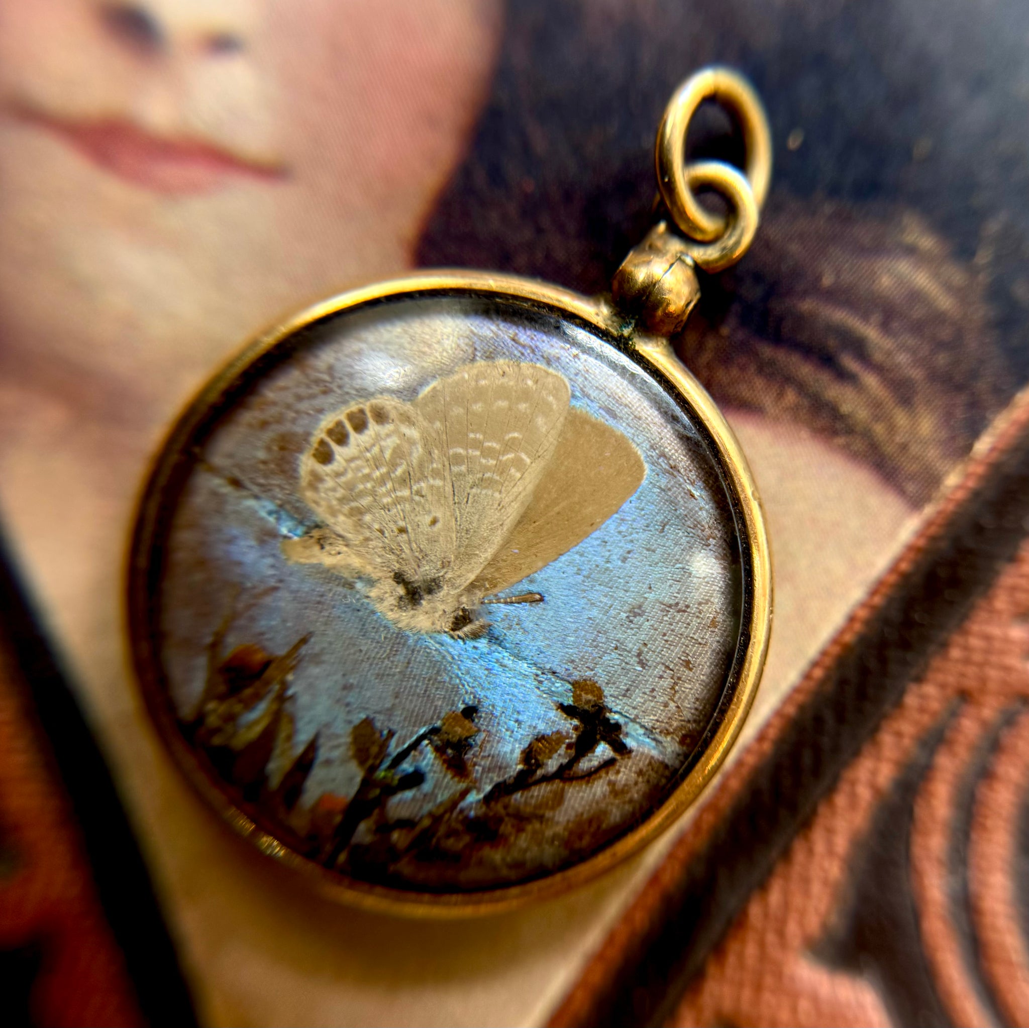Antique Gold Filled Double Sided Pendant w/ Encased Moth + Butterfly Wings