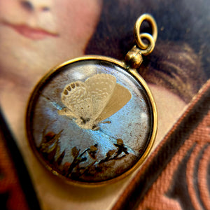 Antique Gold Filled Double Sided Pendant w/ Encased Moth + Butterfly Wings