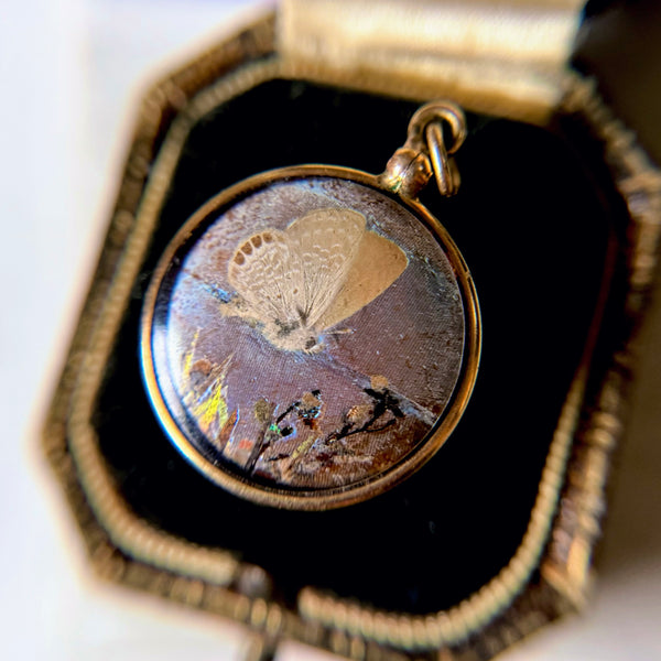 Antique Gold Filled Double Sided Pendant w/ Encased Moth + Butterfly Wings