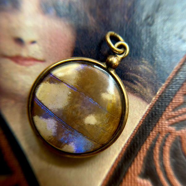 Antique Gold Filled Double Sided Pendant w/ Encased Moth + Butterfly Wings