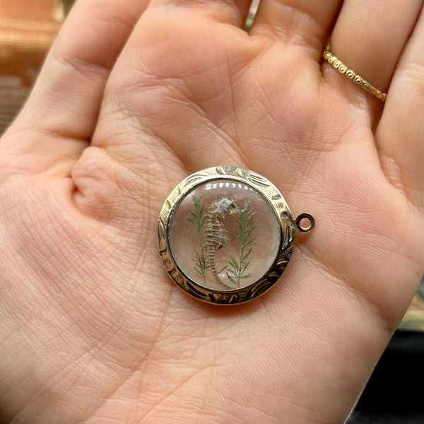 Rare Vintage Lucite Bubble Charm with GF Edges and Genuine Seahorse