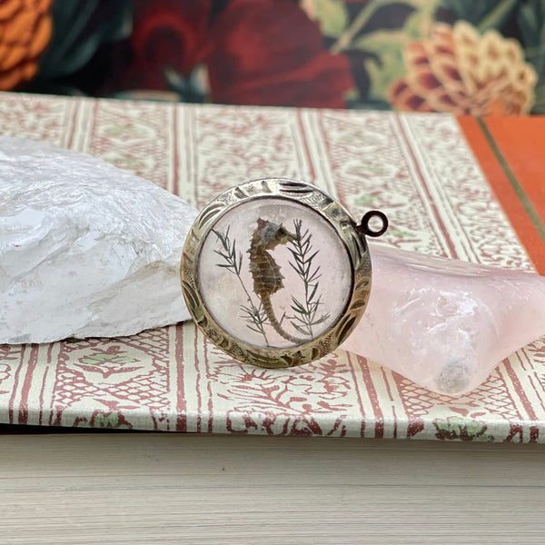 Rare Vintage Lucite Bubble Charm with GF Edges and Genuine Seahorse