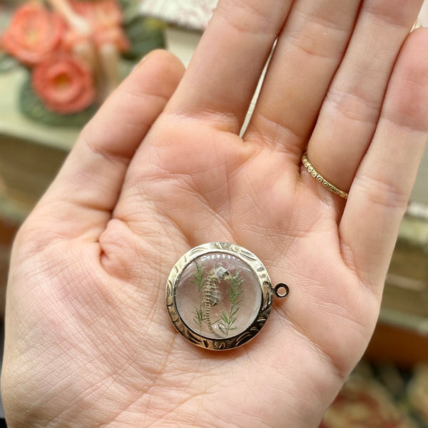 Rare Vintage Lucite Bubble Charm with GF Edges and Genuine Seahorse