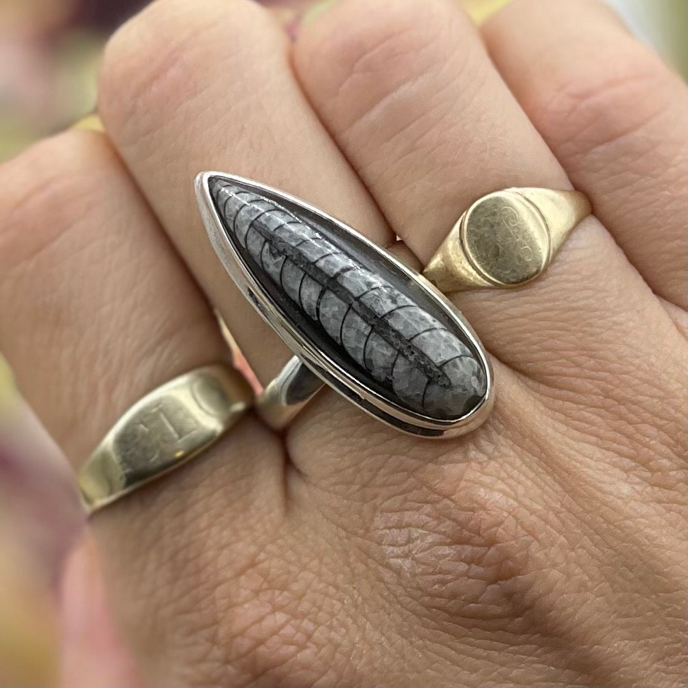 Orthoceras Fossil Statement Ring
