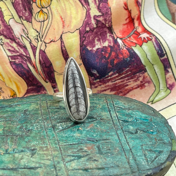 Orthoceras Fossil Statement Ring