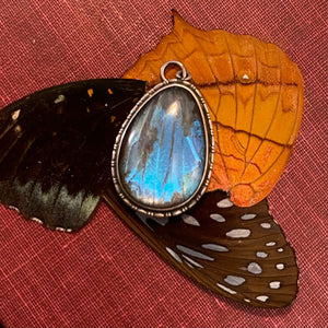 Antique Art Nouveau Butterfly Wing Pendant