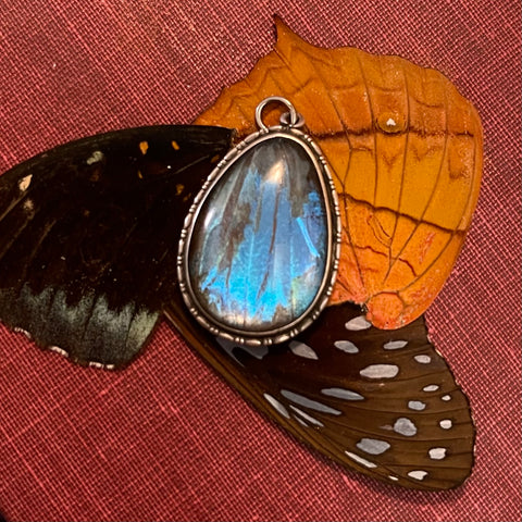 Antique Art Nouveau Butterfly Wing Pendant