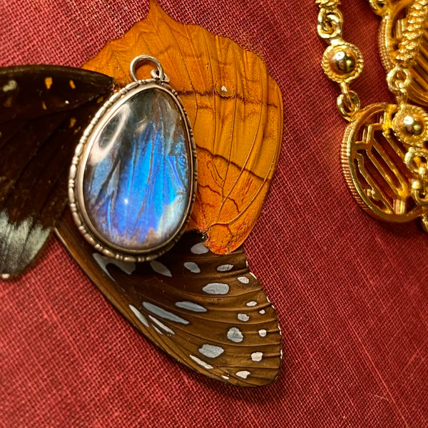 Antique Art Nouveau Butterfly Wing Pendant